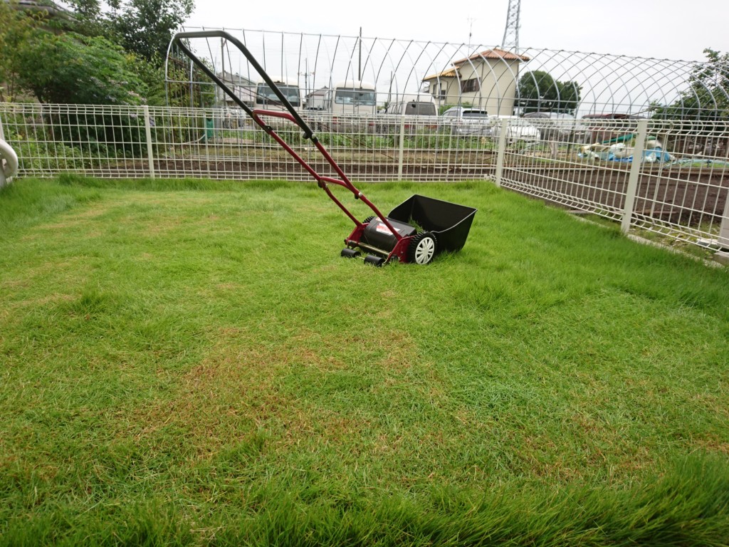 狭い庭なら芝刈り機は手押し式が使いやすい 電動にはない手動の良いところ たべ呑あそ